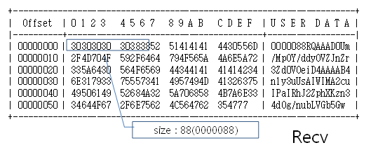 BASIC 타입 예시4