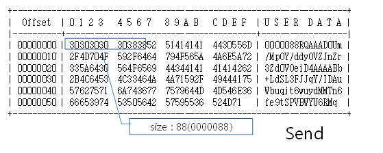 FIXED 타입 예시3