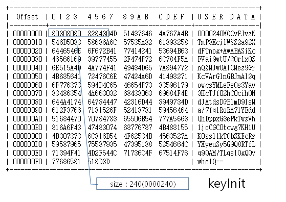 FIXED 타입 예시1