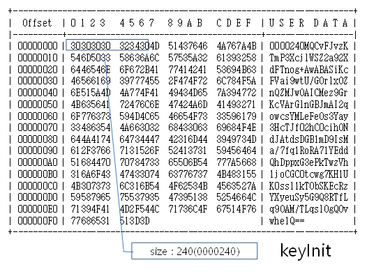 BASIC 타입 예시1