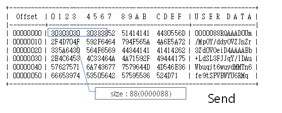 BASIC 타입 예시3